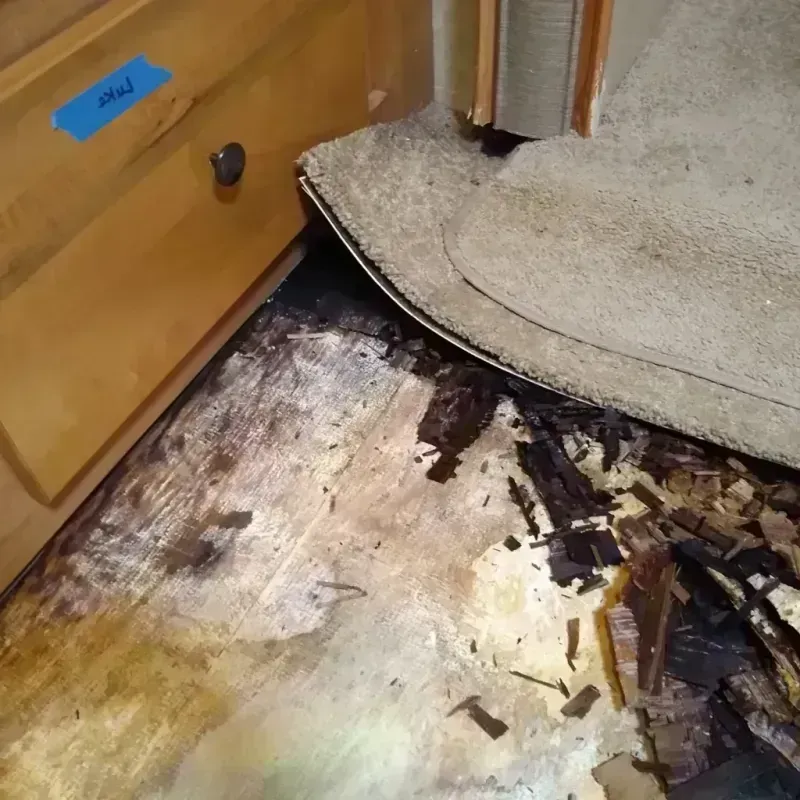 Wood Floor Water Damage in Ham Lake, MN